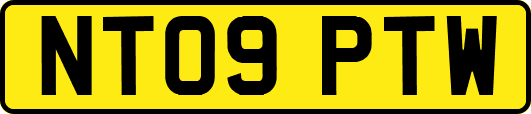 NT09PTW