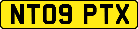 NT09PTX