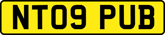 NT09PUB