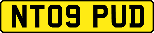 NT09PUD