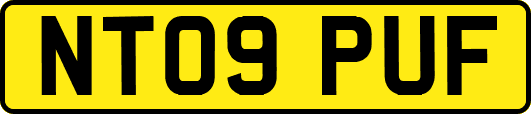 NT09PUF