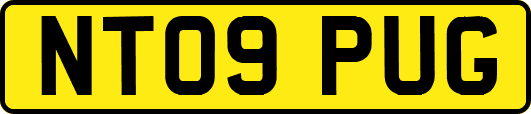 NT09PUG