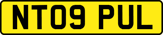 NT09PUL
