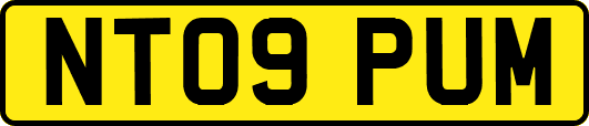 NT09PUM