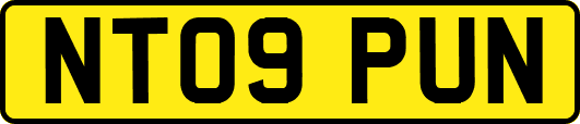 NT09PUN