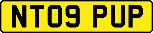 NT09PUP