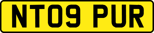NT09PUR
