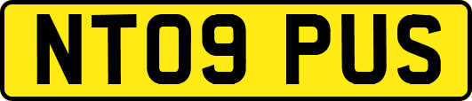NT09PUS
