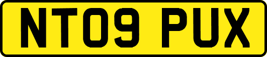 NT09PUX