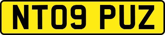NT09PUZ