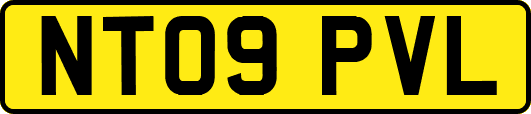 NT09PVL