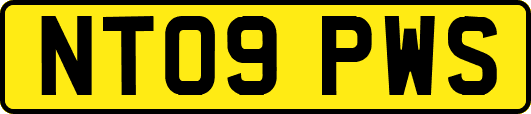 NT09PWS