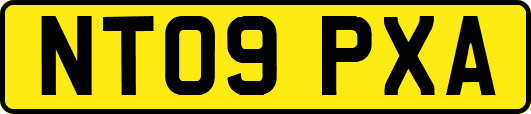 NT09PXA