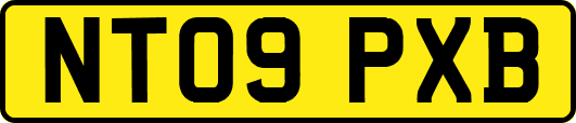 NT09PXB