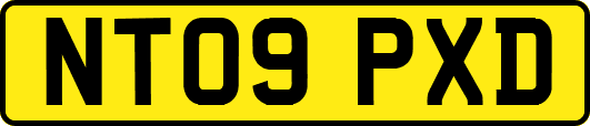 NT09PXD
