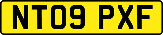 NT09PXF