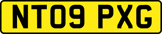 NT09PXG