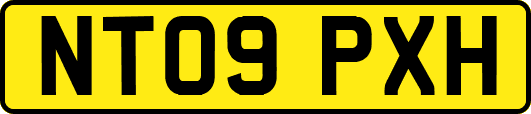 NT09PXH