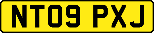 NT09PXJ