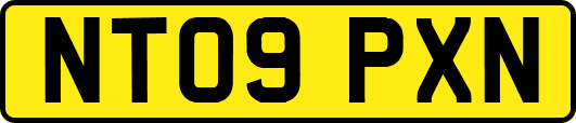 NT09PXN