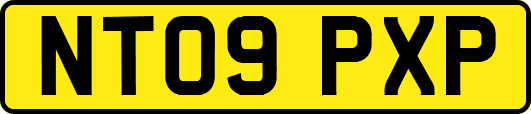 NT09PXP