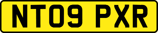 NT09PXR