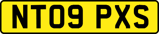 NT09PXS