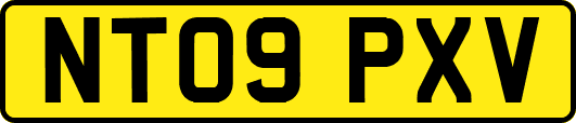 NT09PXV