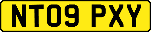 NT09PXY