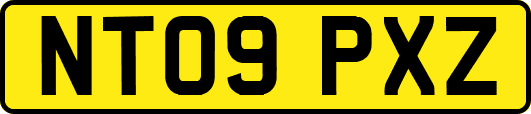 NT09PXZ