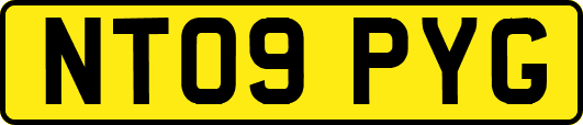 NT09PYG
