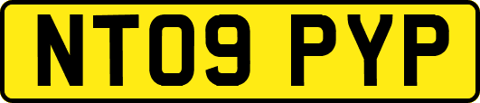 NT09PYP