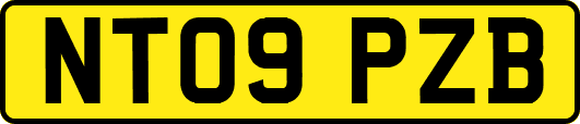 NT09PZB