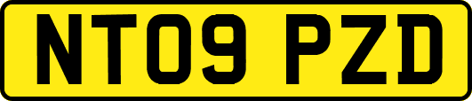 NT09PZD