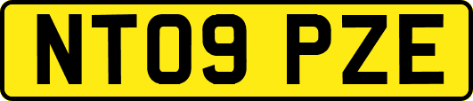 NT09PZE
