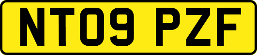 NT09PZF