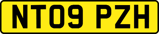 NT09PZH