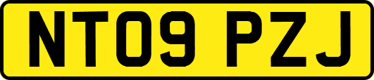 NT09PZJ