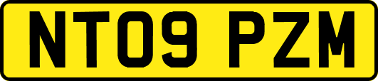 NT09PZM