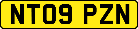 NT09PZN