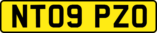 NT09PZO