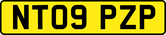 NT09PZP