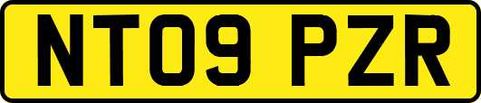 NT09PZR