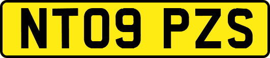 NT09PZS