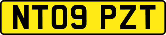 NT09PZT