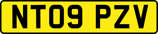 NT09PZV