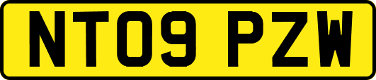 NT09PZW