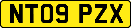 NT09PZX