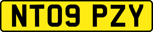 NT09PZY