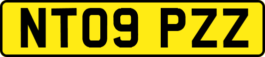 NT09PZZ